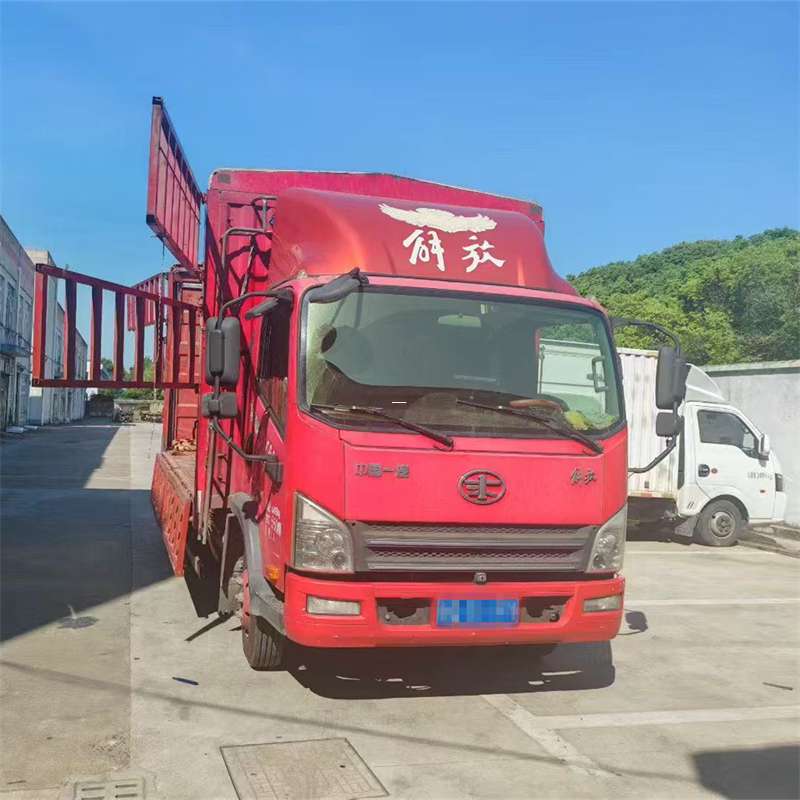 大丰镇探秘那坡县物流运输的多样世界