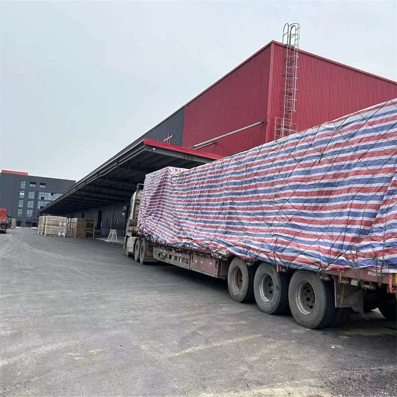 大丰镇渝中区物流：多元服务与运输线路探秘