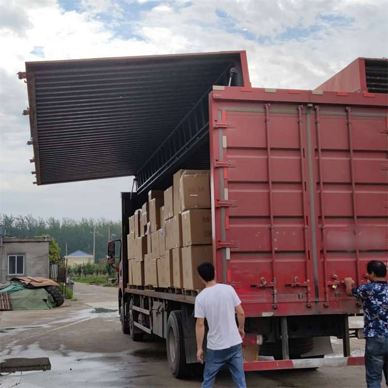 扎囊县：物流专线的高效货运之旅
