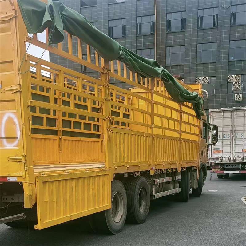 大丰镇兰州市物流运输：多元服务与高效线路探秘